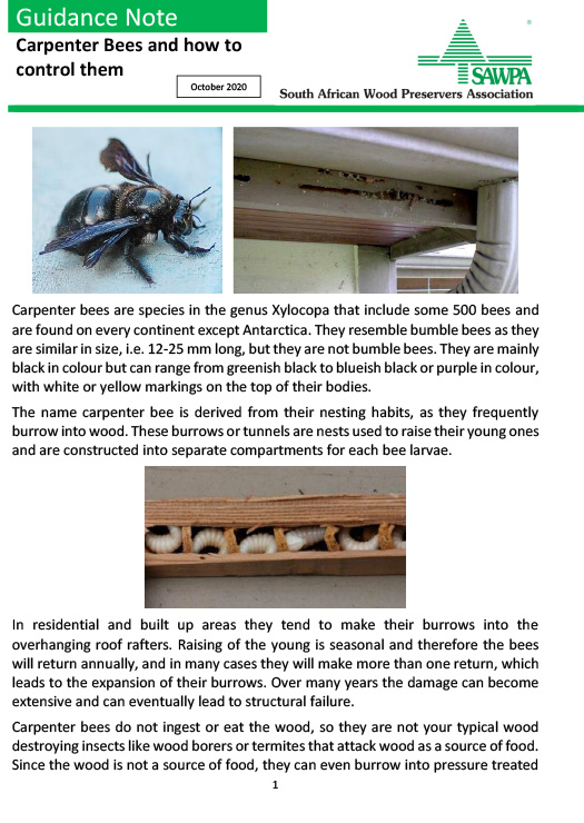 Guidance Note Carpenter Bees and how to control them